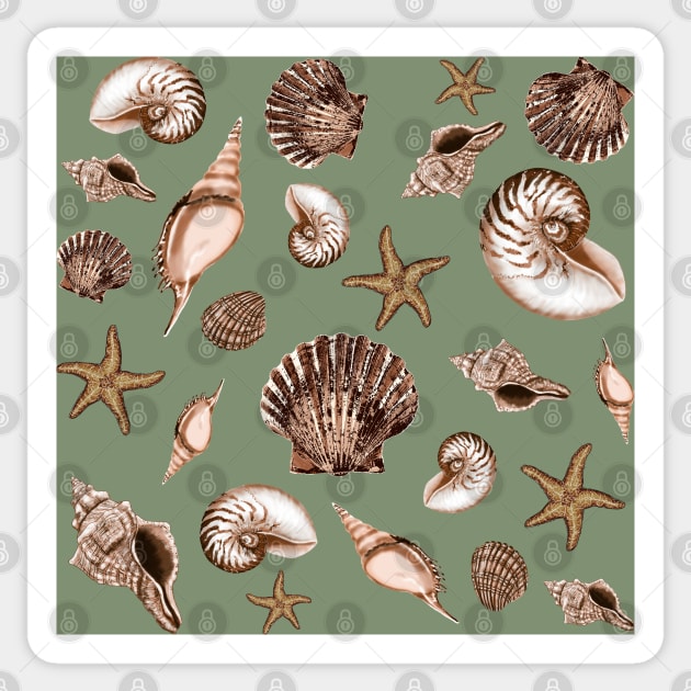 Seashells on sage green Sticker by rlnielsen4